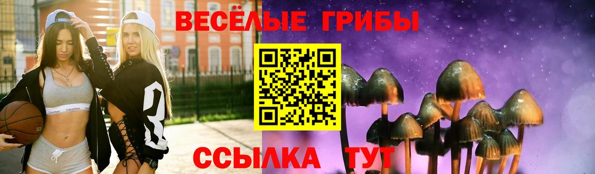 Галлюциногенные грибы Psilocybine cubensis Реж